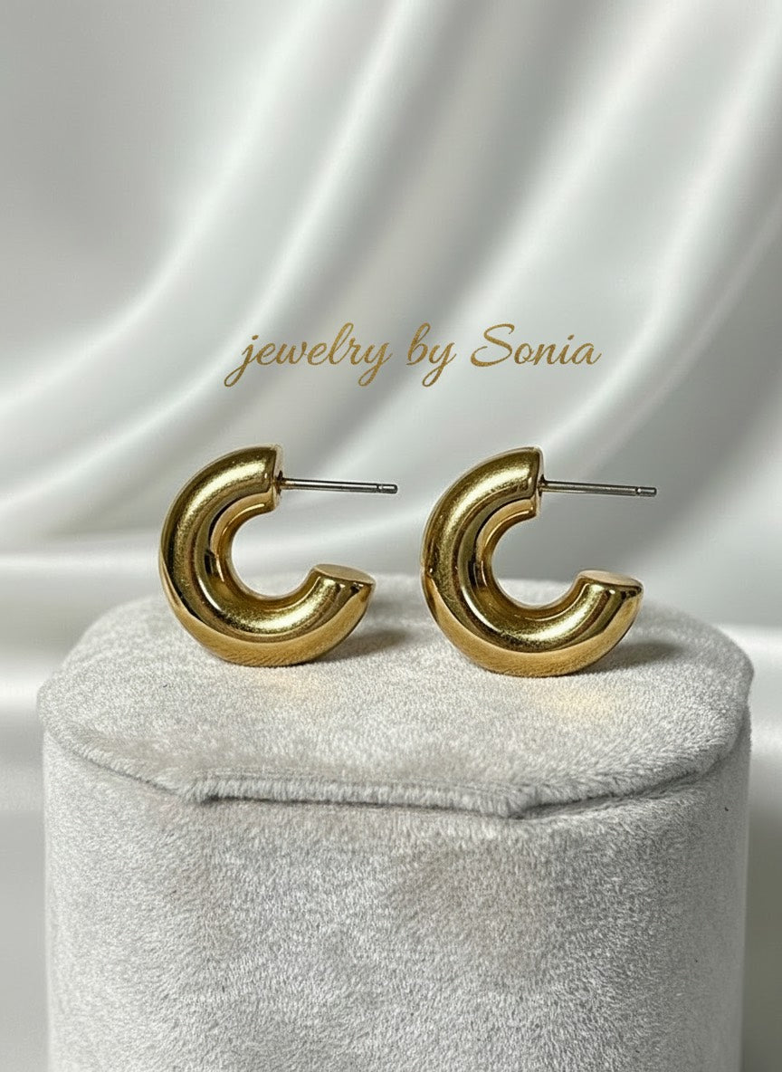 Boucles d'Oreilles Créoles Élégance