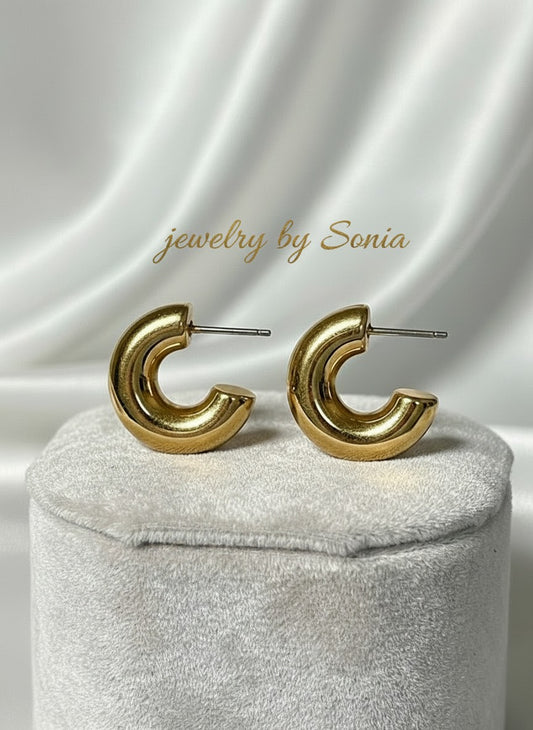 Boucles d'Oreilles Créoles Élégance